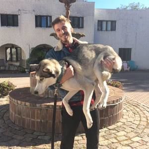 Meet your Posher, André